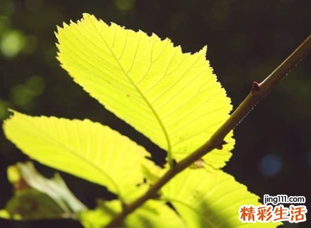 简短干练打动人心的微信昵称，备受网友喜爱的简约微信名