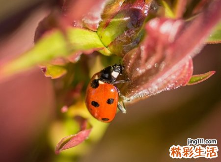 独一无二的寻梦之旅微信名，清新淡雅的微信个性昵称
