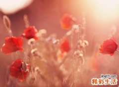 温柔的微信昵称，让人过目不忘的微信温柔名字