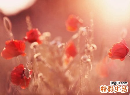 温柔的微信昵称，让人过目不忘的微信温柔名字