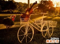 抖音正能量的名字，阳光向上的励志抖音昵称