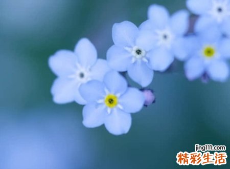 四字昵称古风版，简单大气的唯美微信昵称