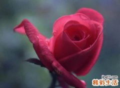 六字昵称微信版，简洁好听的6个字微信名字