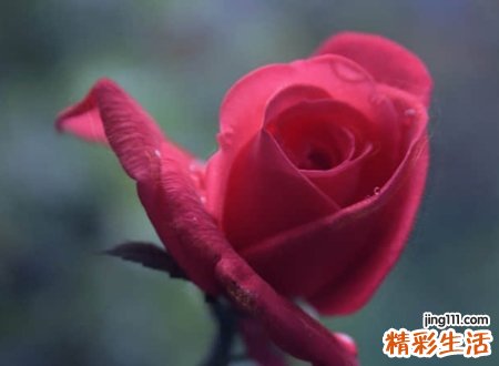 六字昵称微信版，简洁好听的6个字微信名字