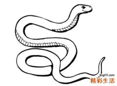 梦见蛇，做梦梦见蛇是什么预兆