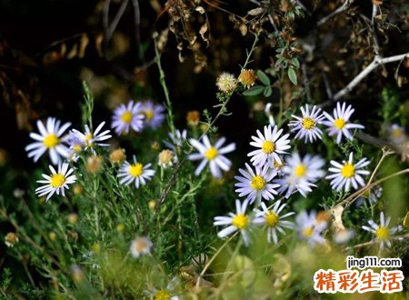 梦见去世的人，做梦梦见去世的亲人还活着