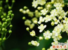 伤感好听的qq空间名称，极度空间名字大全唯美简短