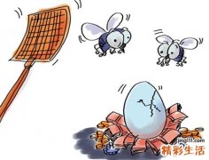 女人梦见苍蝇满屋飞乱作一团