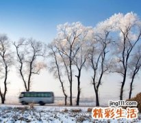 五个字小清新的qq网名