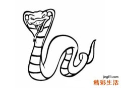 梦见蛇自己很害怕逃跑，女人梦到蛇是什么意思