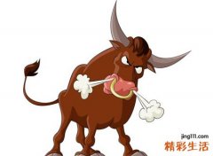 梦见一头牛发疯的乱跑，女人梦到牛预示着什么