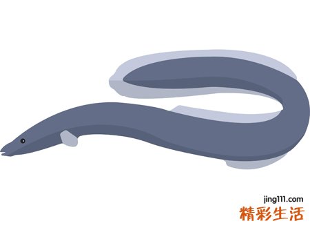 已婚女人梦见黄鳝，做梦梦到梦见黄鳝是什么意思