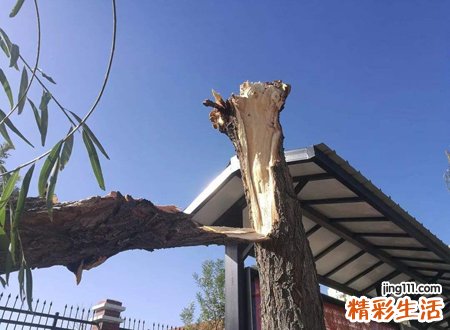 梦见刮大风，女人梦见屋外狂风大作