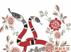 孕妇梦见打死蛇后惶恐不安