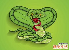 孕妇梦见很多蛇缠绕在一起攻击人