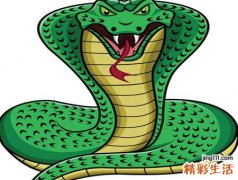 女人梦见好多蛇在一起就餐吃老鼠