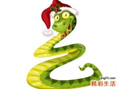 梦见一条大蟒蛇在眼前爬行要发财吗