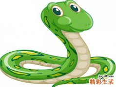 梦见把蛇打死了弄断做下酒菜