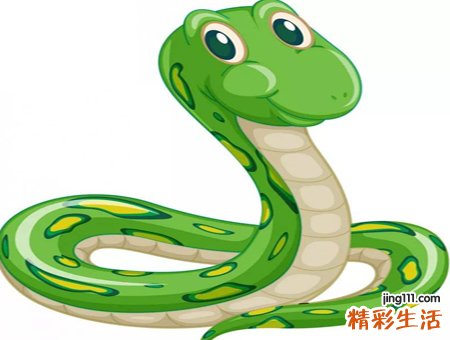 梦见把蛇打死了弄断做下酒菜