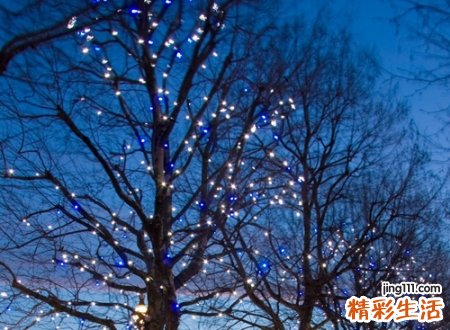 木字旁的字