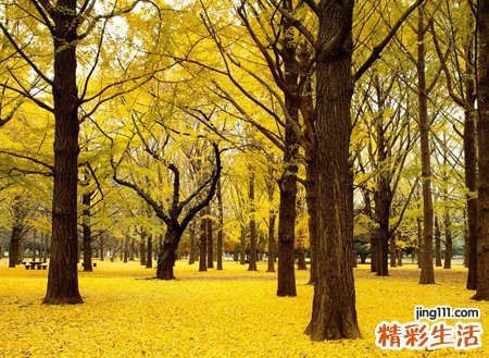 李姓的来源