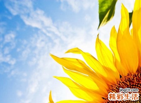 坚强霸气的励志网名，成熟有毅力的正能量昵称