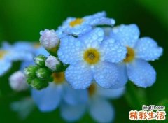 低调谦逊的成熟微信名字，高端大气的微信时尚昵称