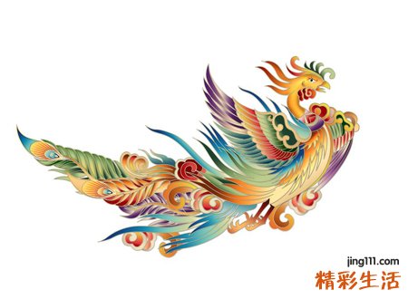 女人梦见凤凰落在面前