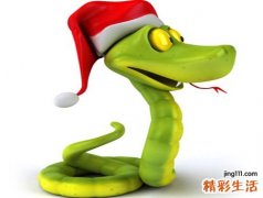 梦见在田野上一群蛇攻击我