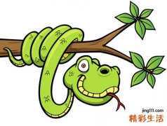 梦见大蟒蛇追我缠着身体要吃我