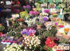 文艺简约的花店店名，吸引人的鲜花店名字