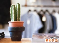 2020抖音最火网名