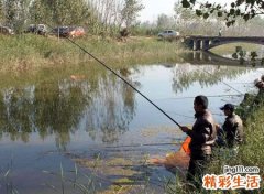 梦见钓鱼，女人梦见自己钓很多鱼