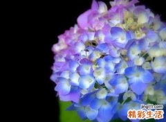 好听的微信备注名称，给喜欢的人起个特别的网名