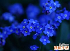 素雅脱俗的微信名字，简约静谧的心情网名