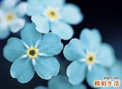 特别丧的伤感昵称，又丧又渣的微信网名