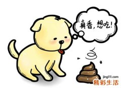 女人梦见屎沾身又擦掉，做梦梦到屎沾身是什么意思