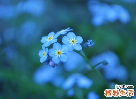 低调内敛的微信名字,好听不张扬的微信个性网名