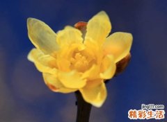 简单干净的微信名字，好听不易重名的网名