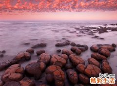 梦见别人开车撞死人死了好多人