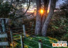 孕妇梦见死人到处都是好凄惨