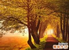 女人梦见死人又复活了真的好吓人