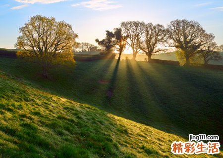 梦见家里放着棺材死人一片悲哀景象