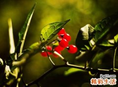 独一无二的qq炫舞名字，饱含青春回忆的游戏昵称