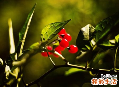 独一无二的qq炫舞名字，饱含青春回忆的游戏昵称