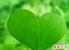 迷途伤心绝望的微信昵称，一眼望穿秋水的感性网名