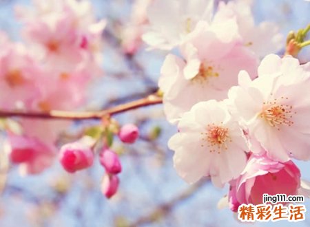 一看就觉得有故事的感性网名，最有吸引力的魔力昵称