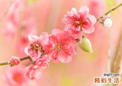 梦见开车撞死人逃逸后吃官司坐牢