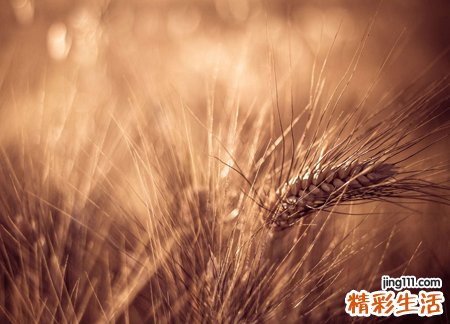 梦见死人对我笑个不停好恐怖