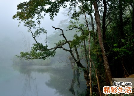 梦见死人的尸体漫天飞舞好恐怖的场景